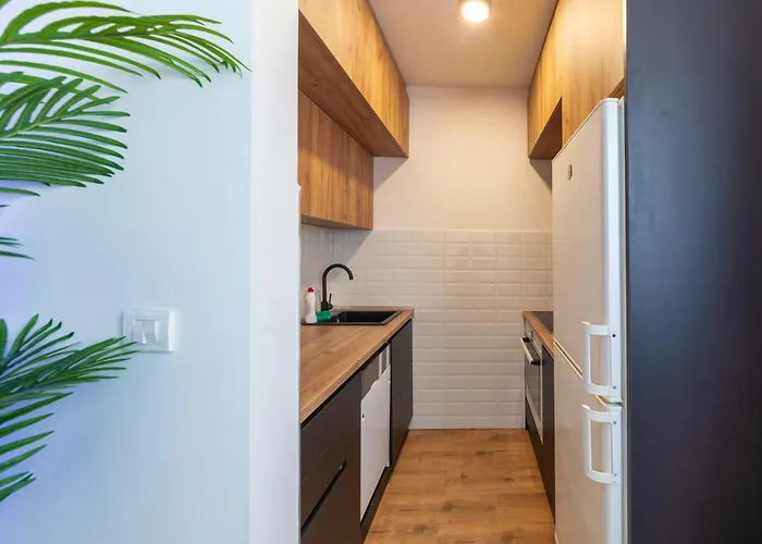 Luxury Apartamento Belgrado